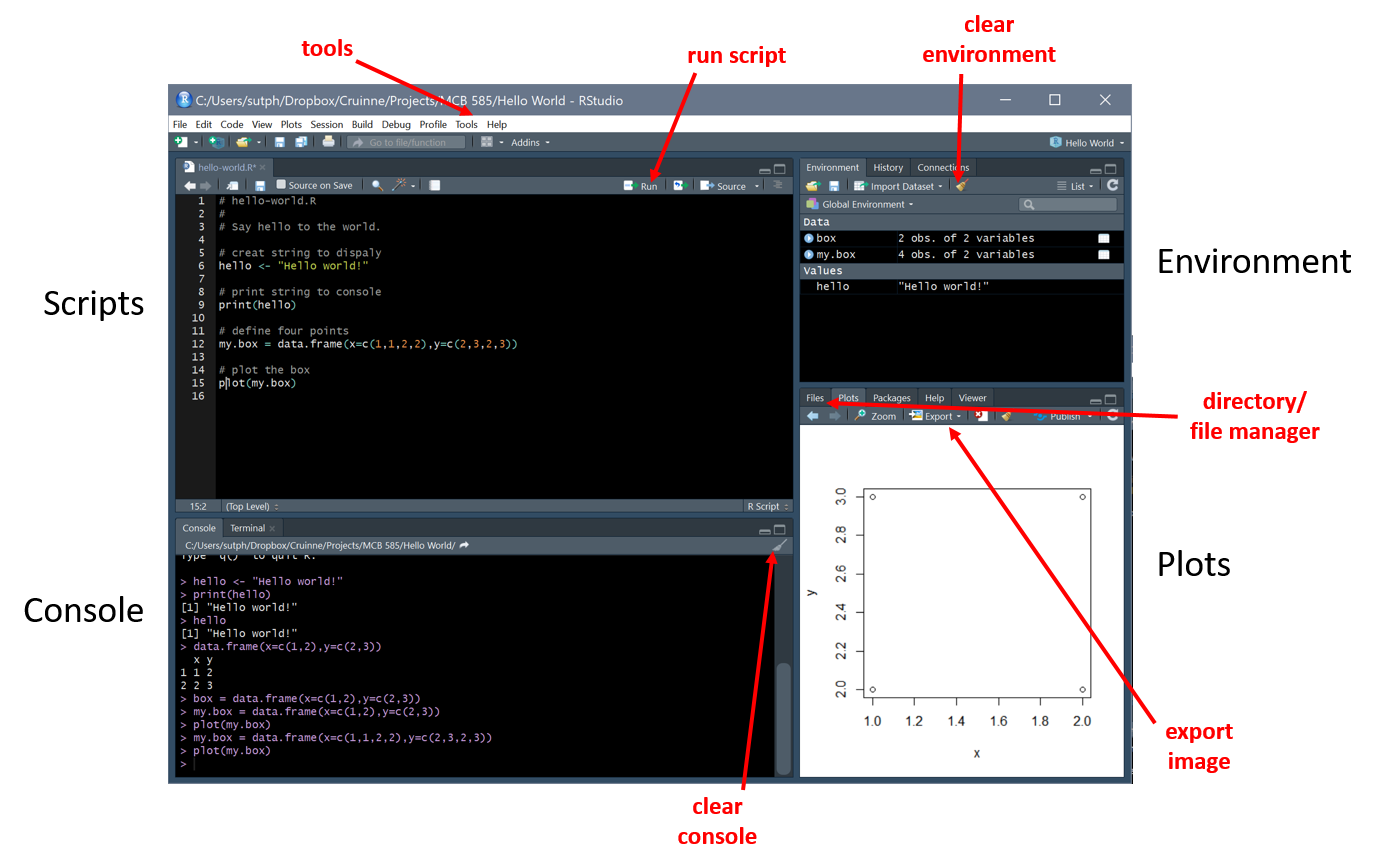 RStudio Visual Interface